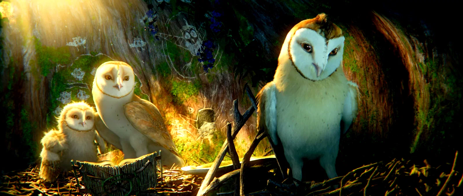 Photo du film : Le royaume de Ga'Hoole - la légende des gardiens