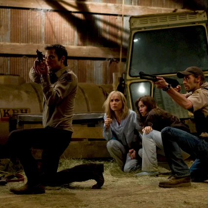 Miniature photo du film : The Crazies