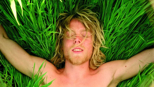 Affiche du film : Adieu Falkenberg