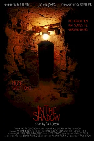 Affiche du film : In the shadow 