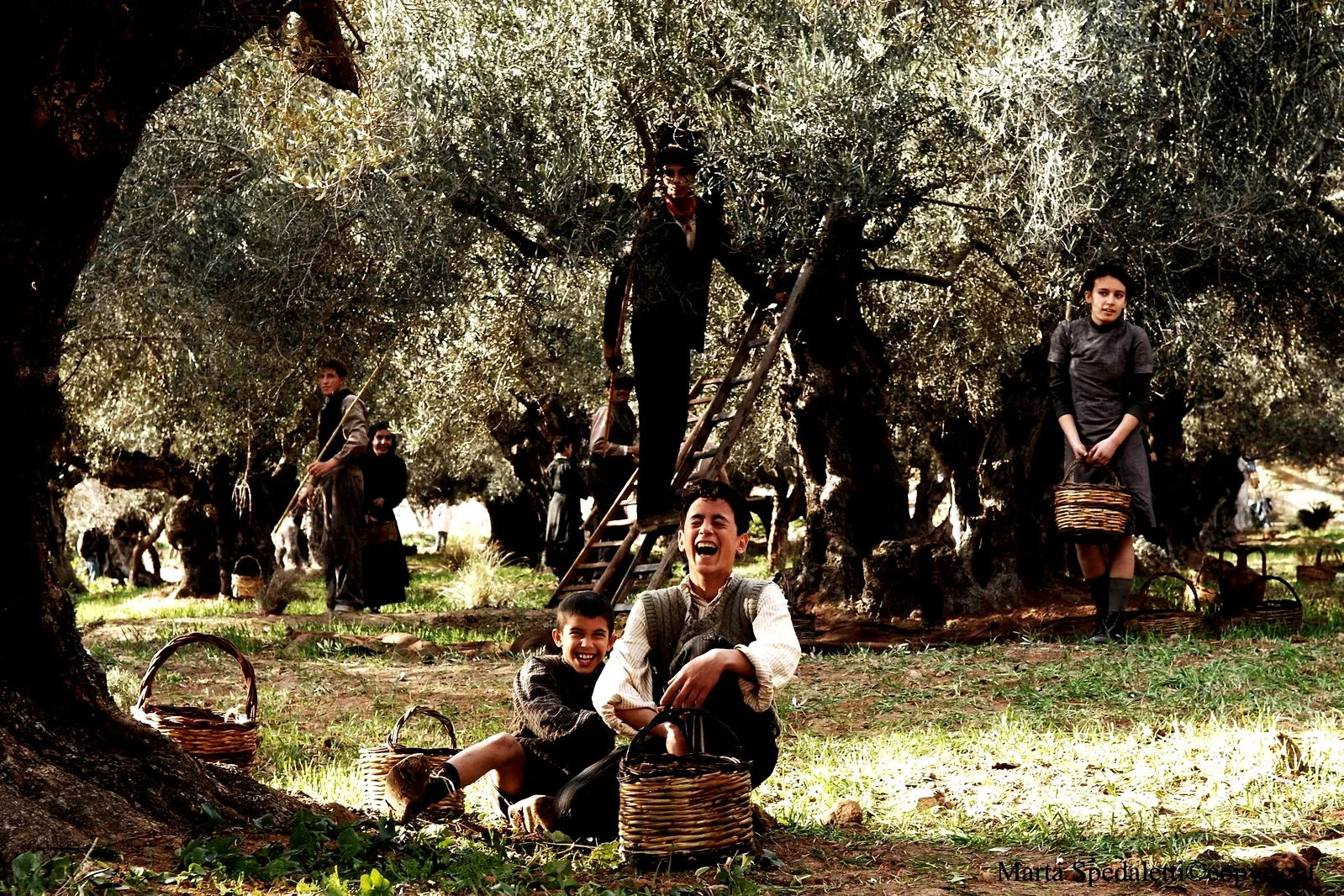Photo 7 du film : Baaria