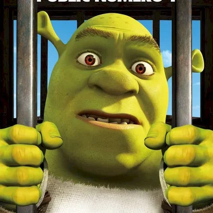 Miniature photo du film : Shrek 4, il était une fin 