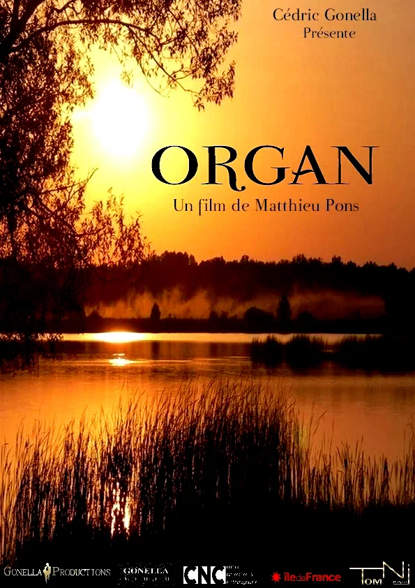 Affiche du film : Organ