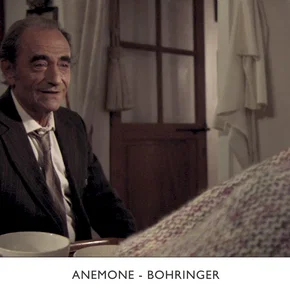 Photo du film : Les amours secrètes 