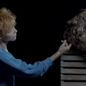 Photo du film : La Campagne de Ciceron