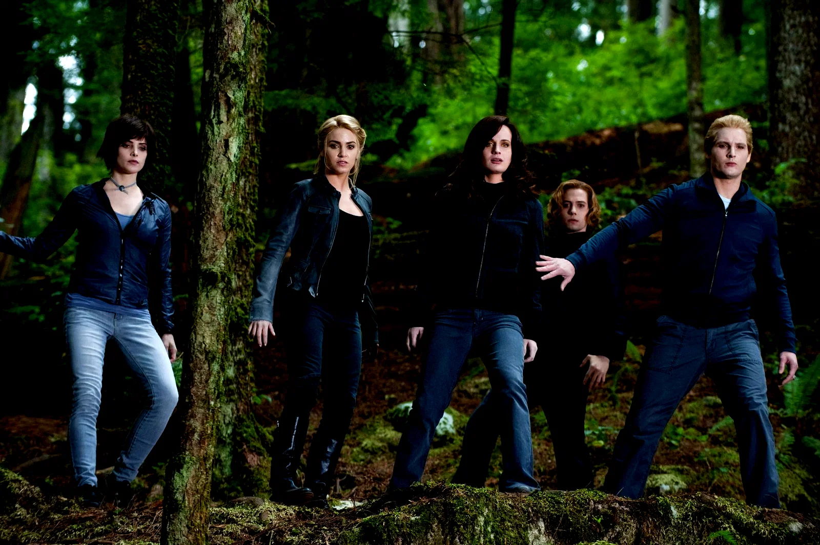 Photo du film : Twilight, chapitre 3 : Hésitation