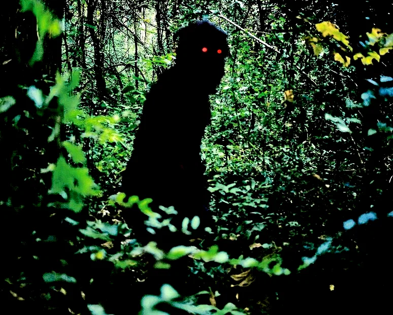 Photo du film : Oncle Boonmee (Celui qui se souvient de ses vies antérieures)