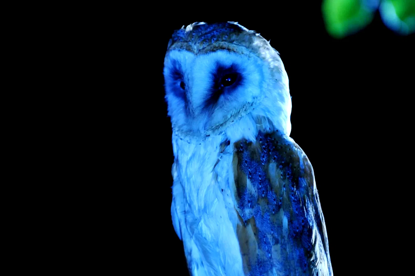 Photo du film : Phénomènes paranormaux