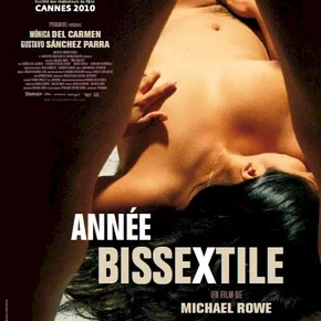 Photo du film : Année Bissextile