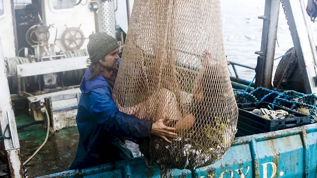 Photo du film : Ondine 