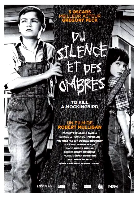 Affiche du film : Du Silence et des ombres