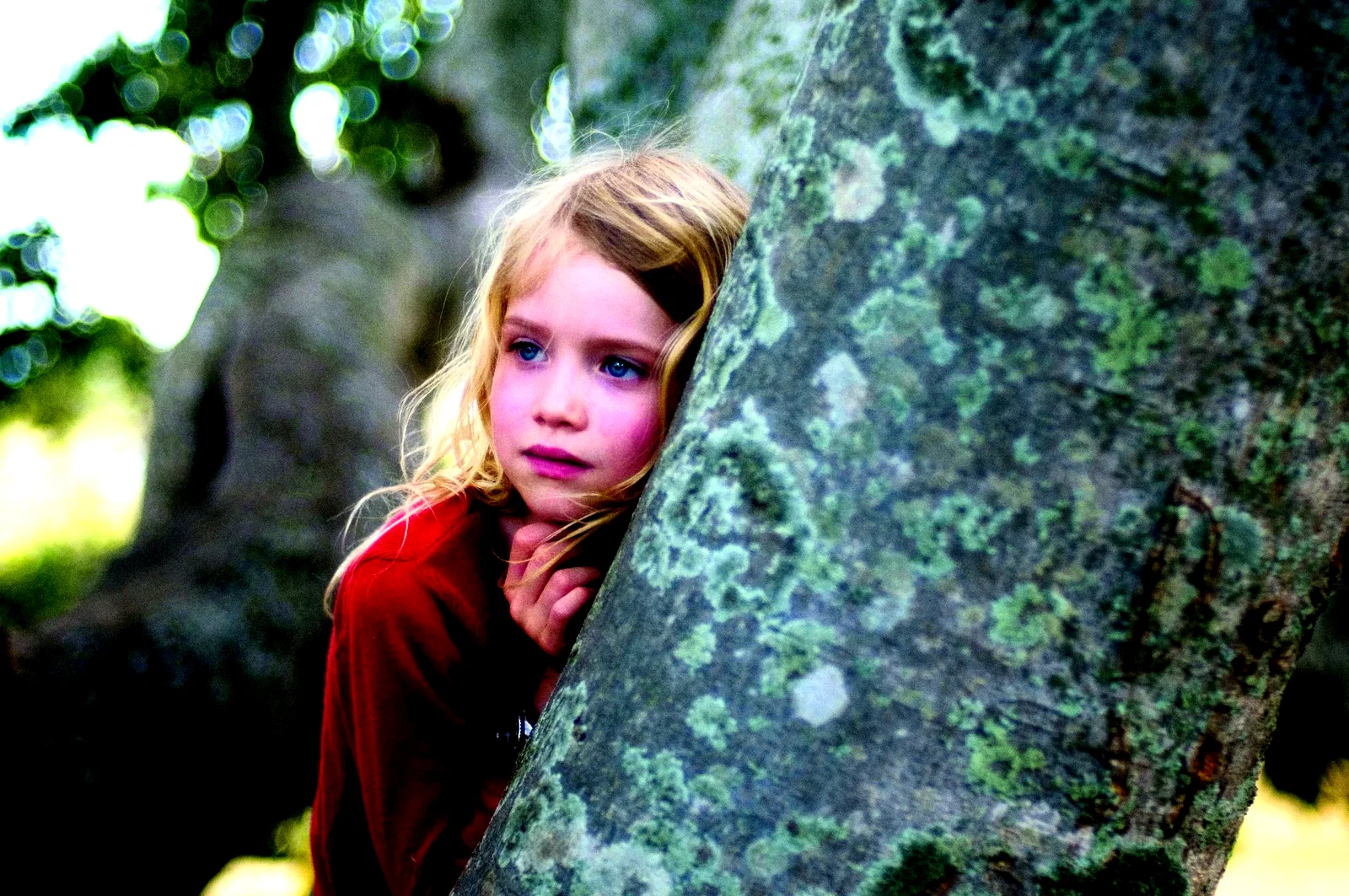 Photo 15 du film : L'arbre 