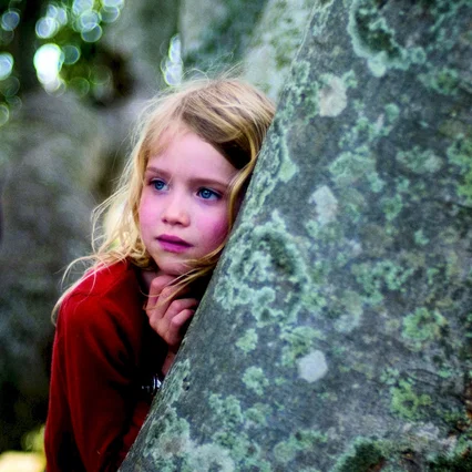 Miniature photo du film : L'arbre 