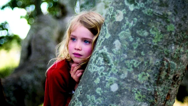 Affiche du film : L'arbre 