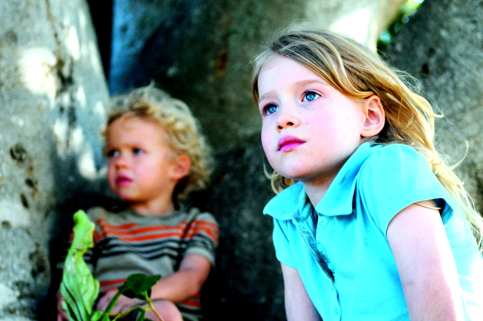 Photo 4 du film : L'arbre 