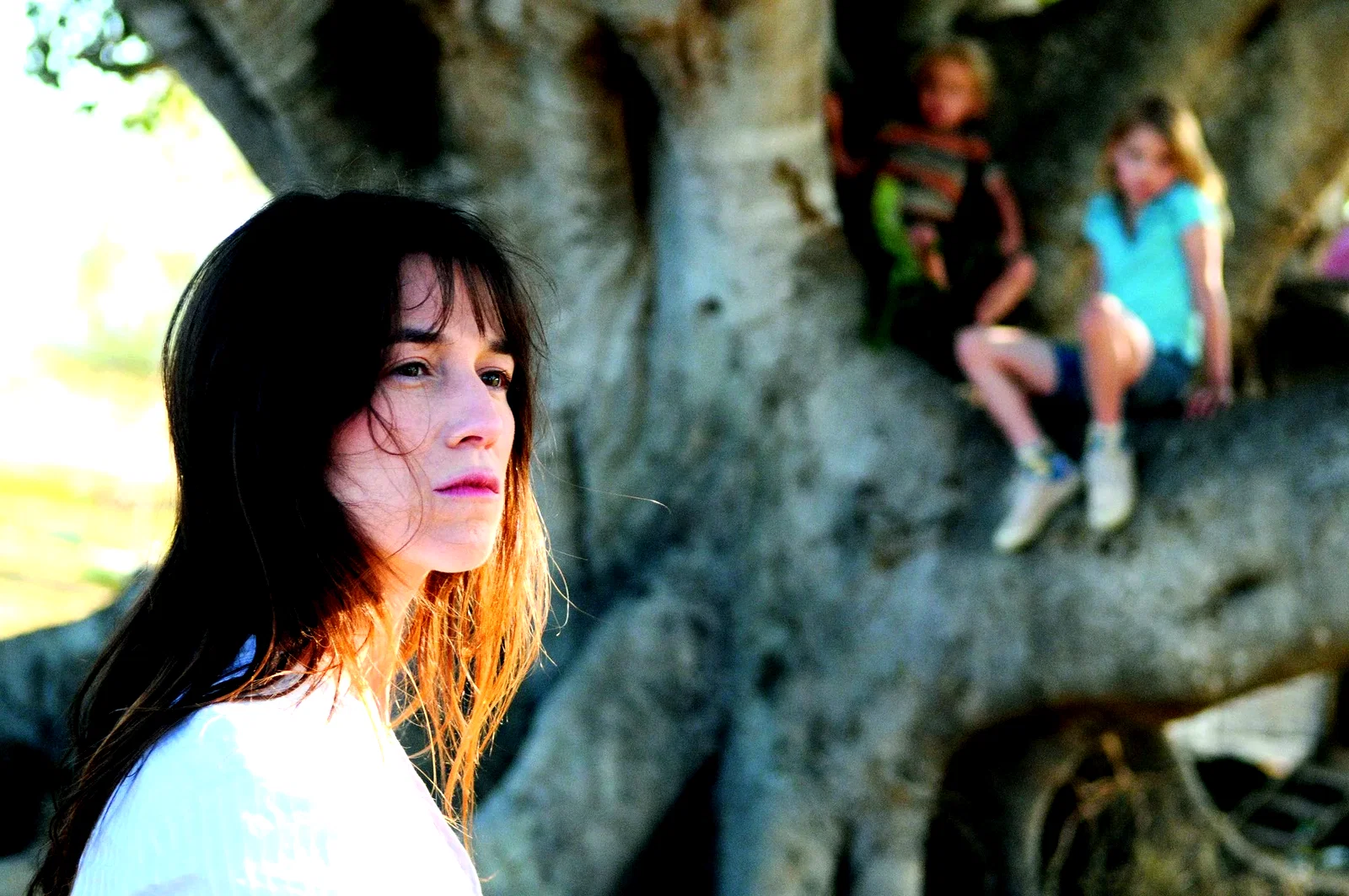 Photo 5 du film : L'arbre 