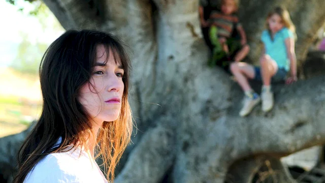 Photo 5 du film : L'arbre 