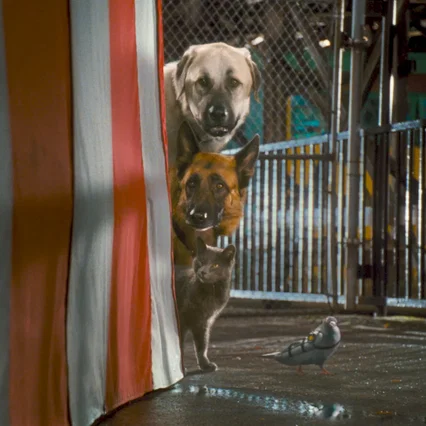 Miniature photo du film : Comme chiens et chats - La Revanche de Kitty Galore 