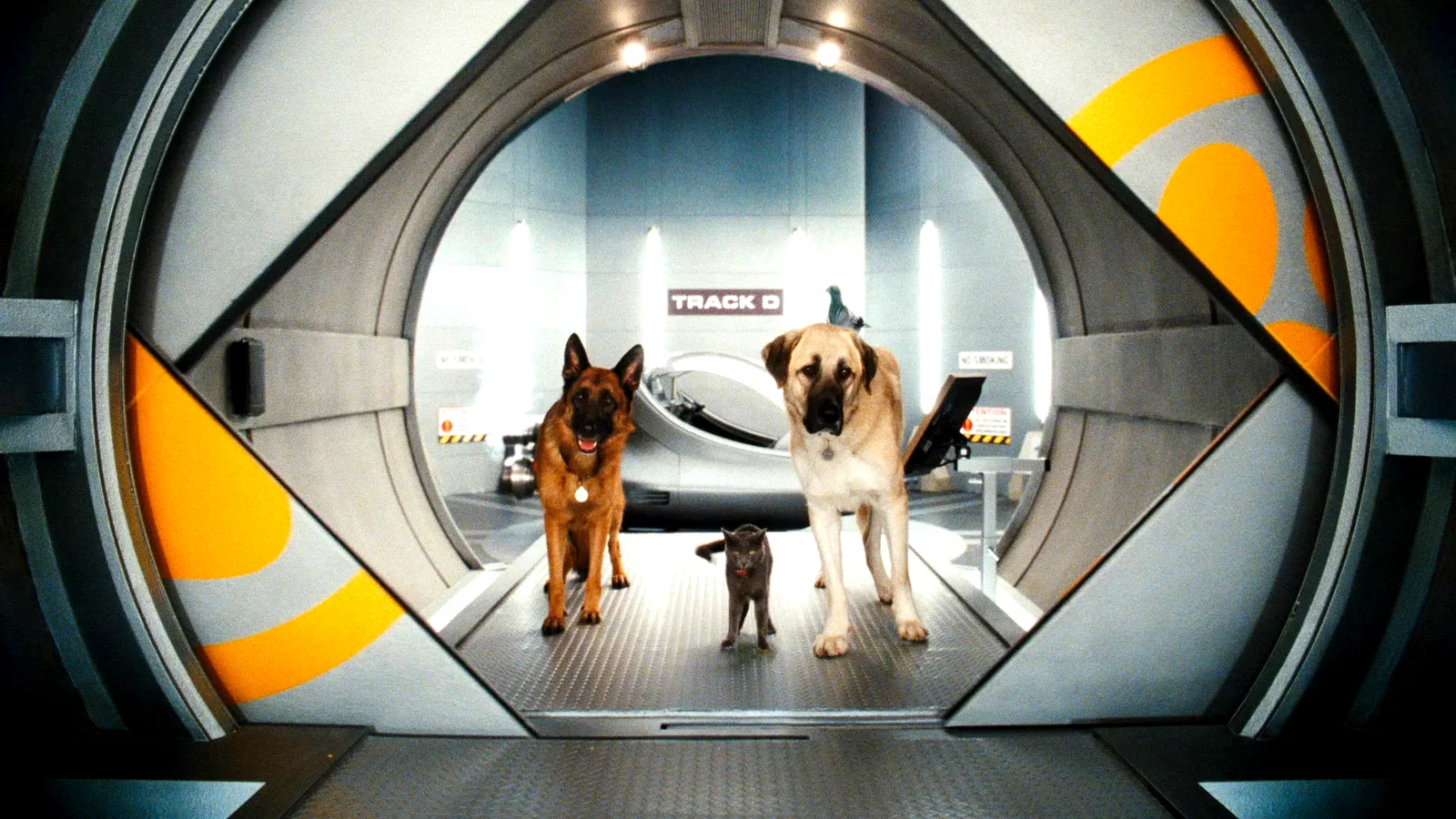 Photo du film : Comme chiens et chats - La Revanche de Kitty Galore 