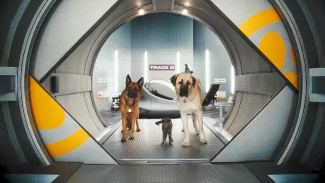 Photo du film : Comme chiens et chats - La Revanche de Kitty Galore 