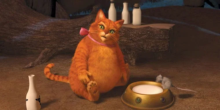 Photo 15 du film : Shrek 4, il était une fin 
