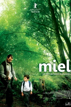 Affiche du film Miel
