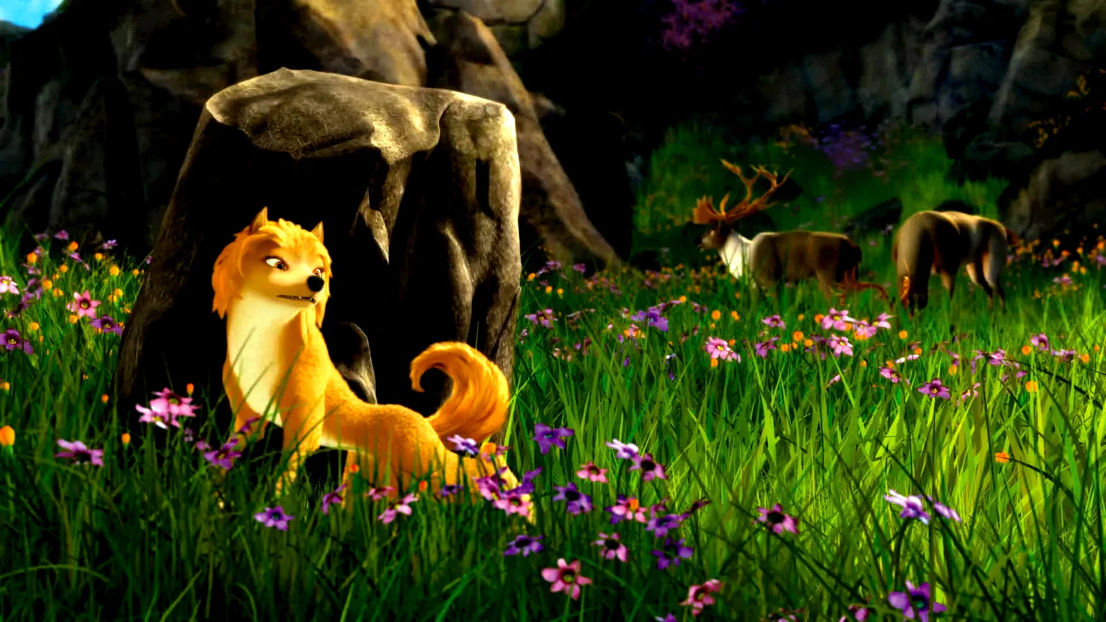 Photo 7 du film : Alpha & Omega