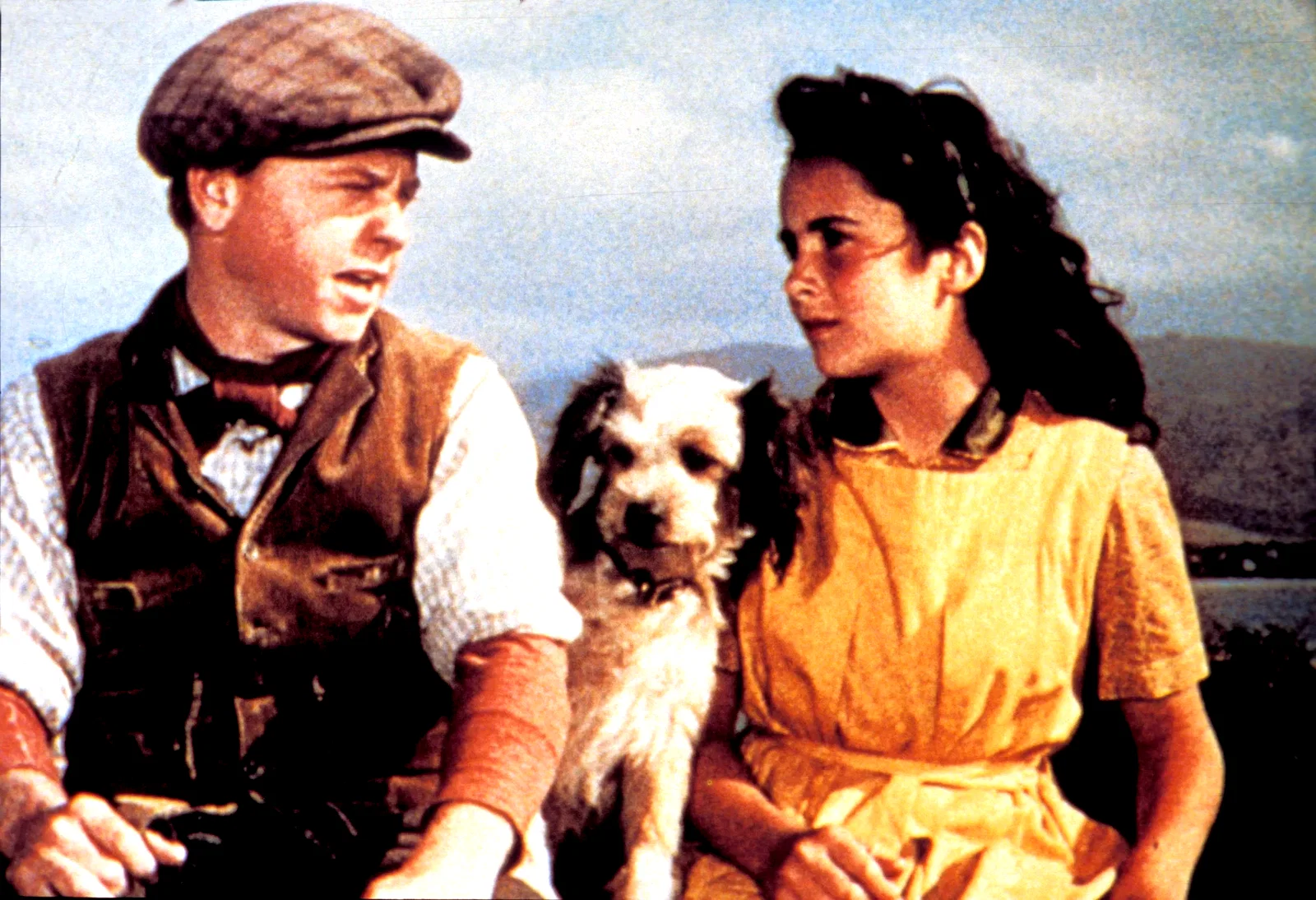 Photo 5 du film : Le Grand national