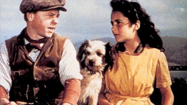 Photo du film : Le Grand national