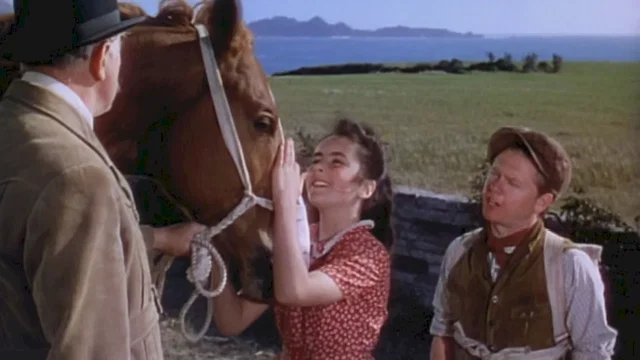 Photo du film : Le Grand national