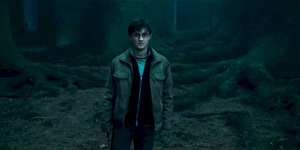 Photo du film : Harry Potter et les reliques de la mort - Partie 1