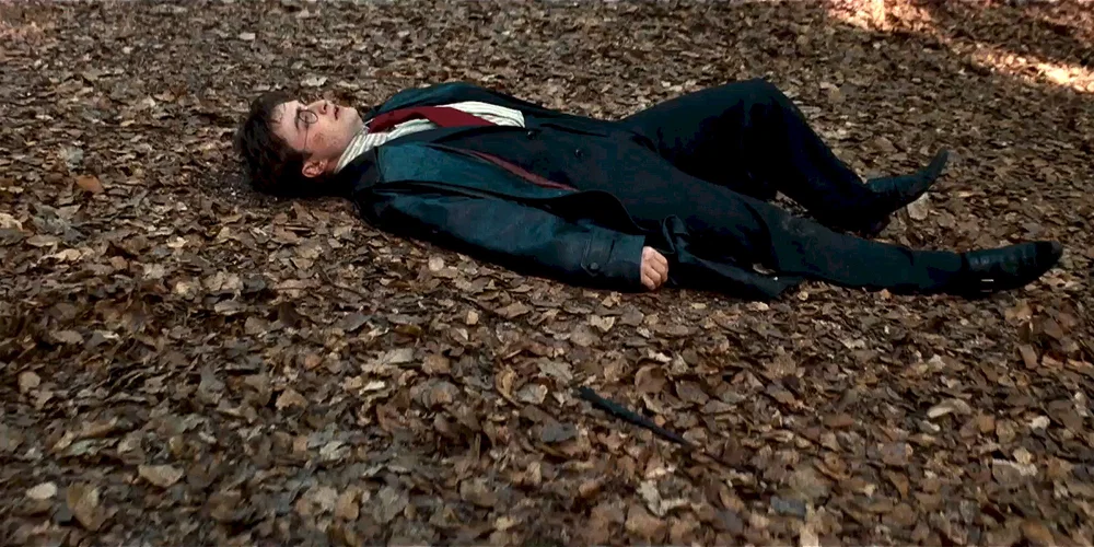 Photo du film : Harry Potter et les reliques de la mort - Partie 1