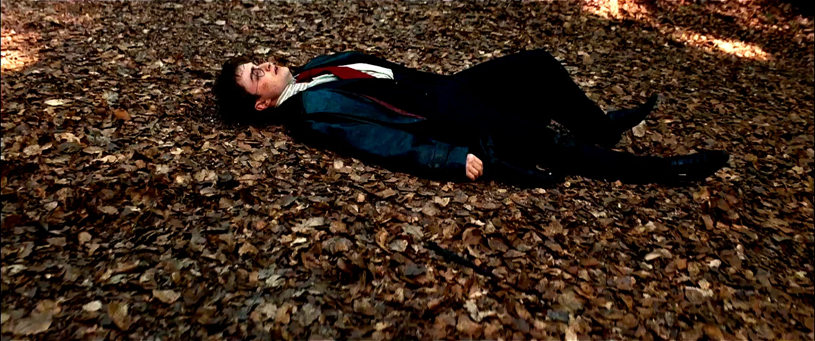 Photo du film : Harry Potter et les reliques de la mort - Partie 1