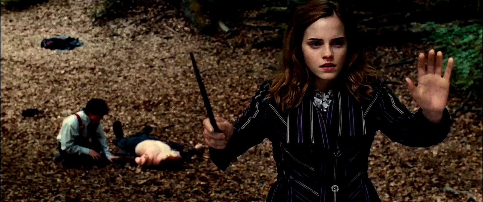 Photo du film : Harry Potter et les reliques de la mort - Partie 1