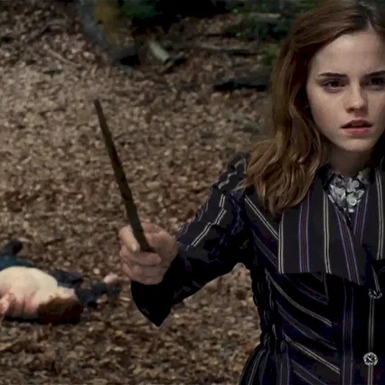 Miniature photo du film : Harry Potter et les reliques de la mort - Partie 1