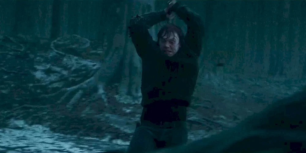 Photo du film : Harry Potter et les reliques de la mort - Partie 1