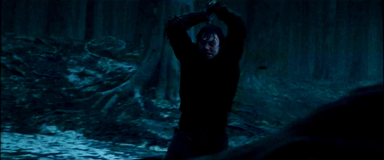 Photo du film : Harry Potter et les reliques de la mort - Partie 1
