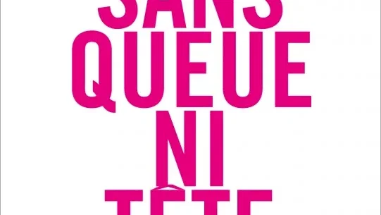 Affiche du film : Sans queue ni tête