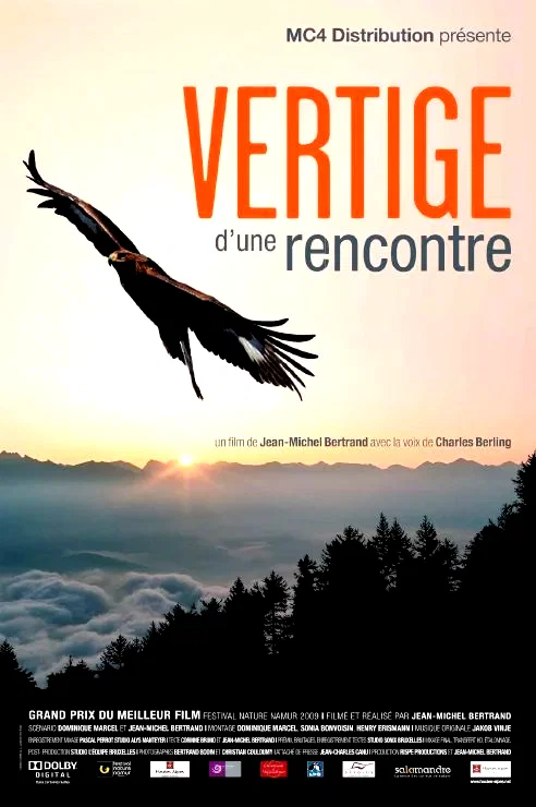 Affiche du film : Vertige d'une rencontre 