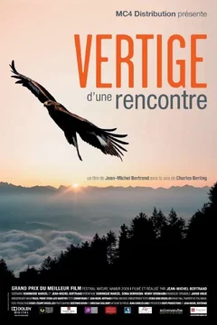 Affiche du film = Vertige d'une rencontre 