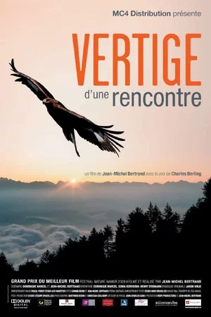 Affiche du film : Vertige d'une rencontre 
