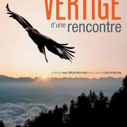 Miniature photo du film : Vertige d'une rencontre 