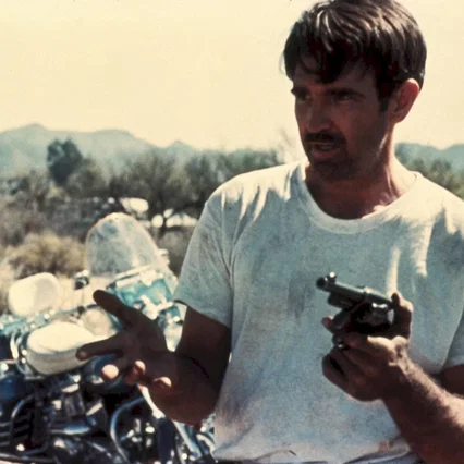 Miniature photo du film : Electra Glide in Blue