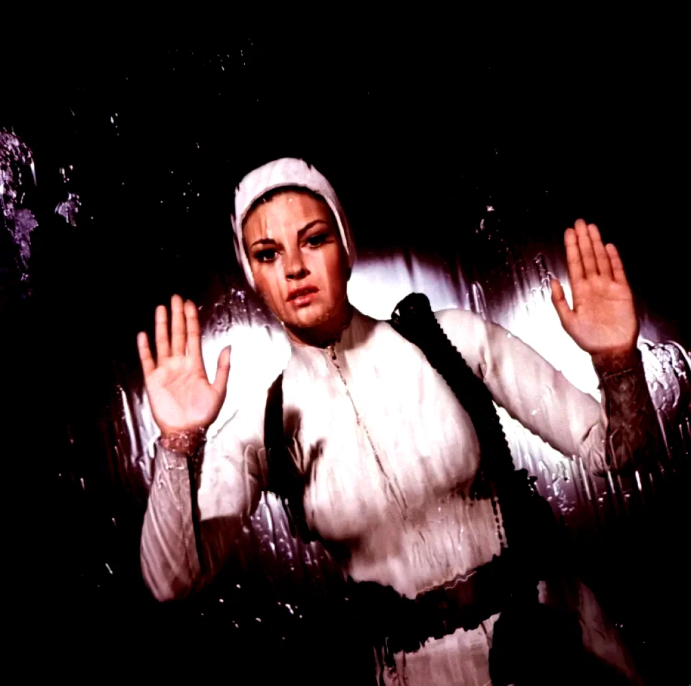 Photo du film : Le Voyage fantastique