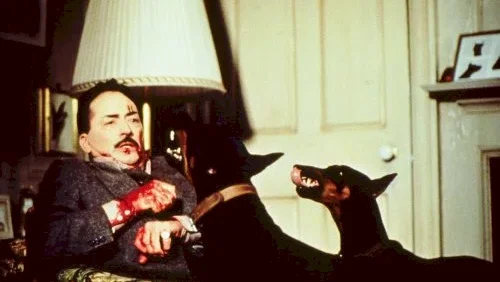 Photo du film : Ces garçons qui venaient du Brésil