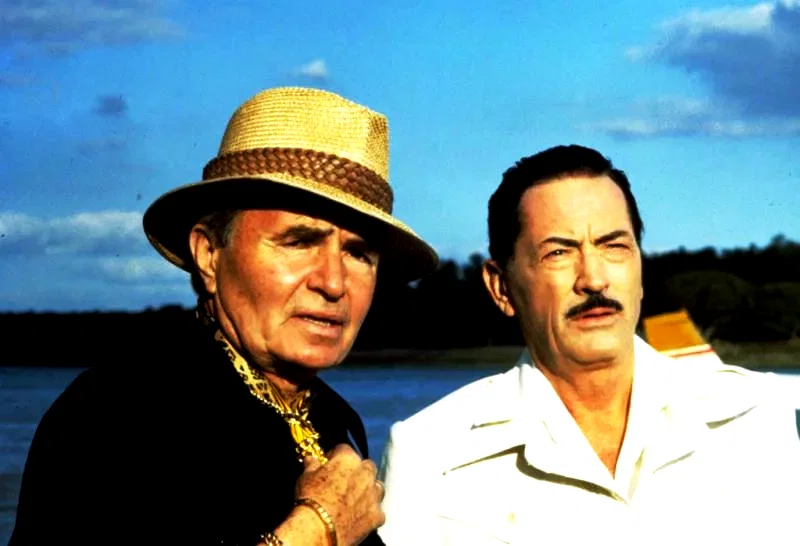 Photo 11 du film : Ces garçons qui venaient du Brésil
