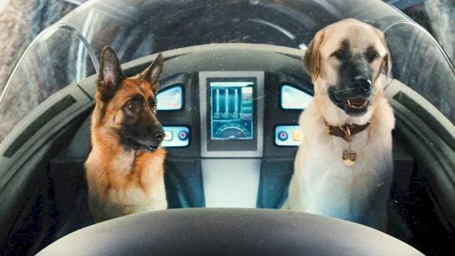 Photo du film : Comme chiens et chats - La Revanche de Kitty Galore 