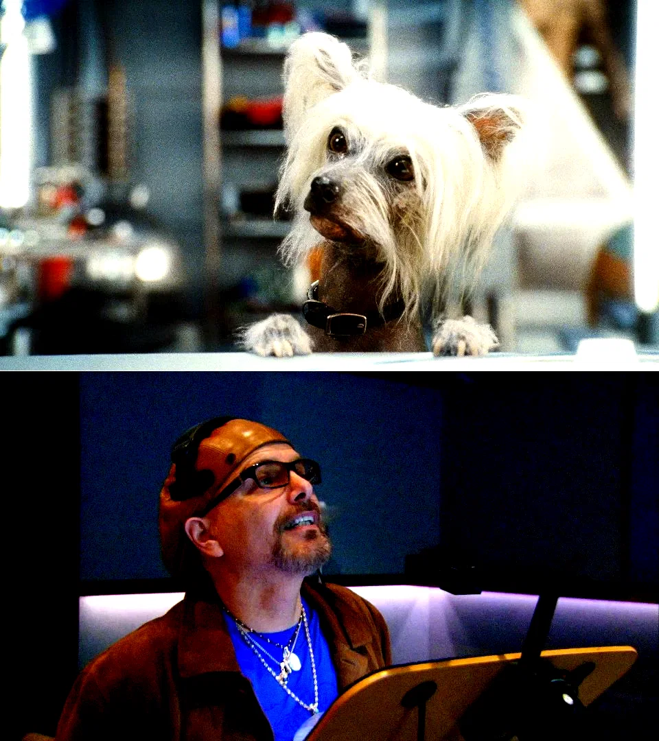 Photo du film : Comme chiens et chats - La Revanche de Kitty Galore 