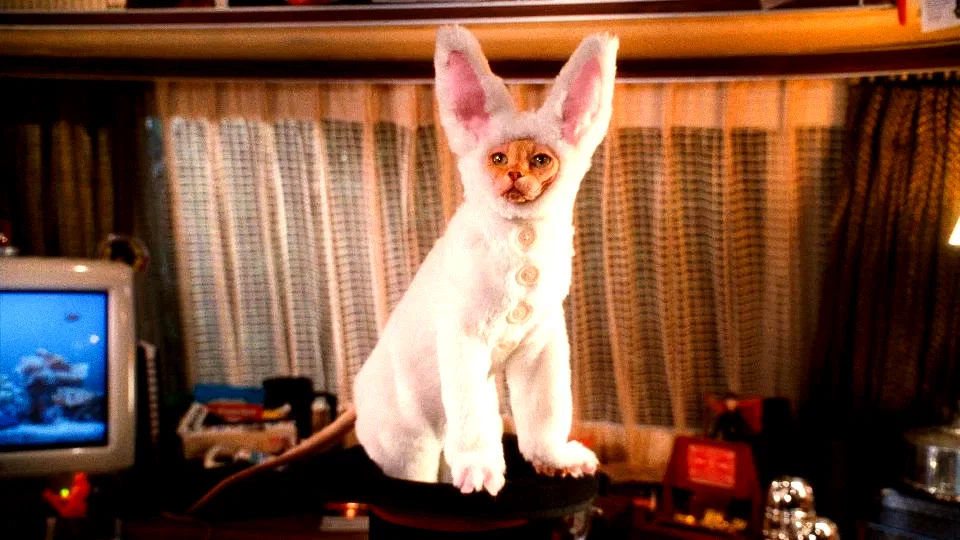 Photo du film : Comme chiens et chats - La Revanche de Kitty Galore 