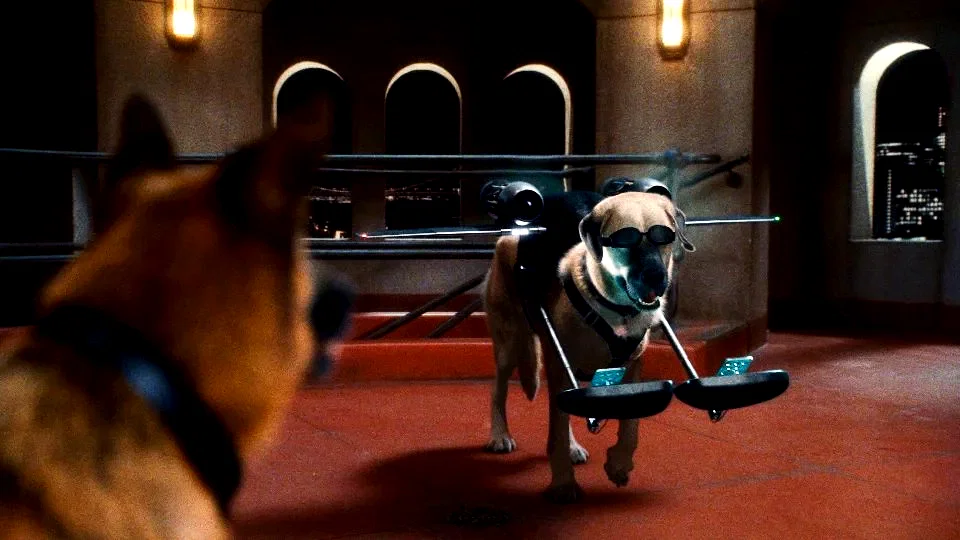 Photo du film : Comme chiens et chats - La Revanche de Kitty Galore 